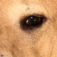 itmatterstomesobo