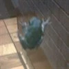 OldFroggy