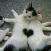 Boojee