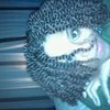 Balina