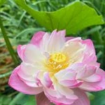 KarenG670834