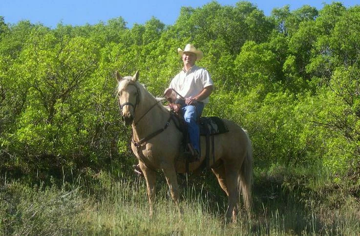HorsebackTaxMan