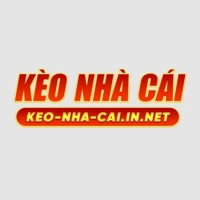 nowgoal8app