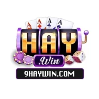 9haywincom