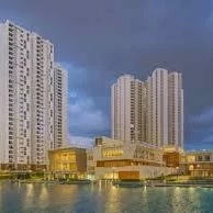 pfalconcity