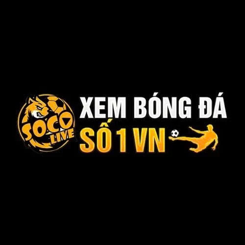 socolivetoday