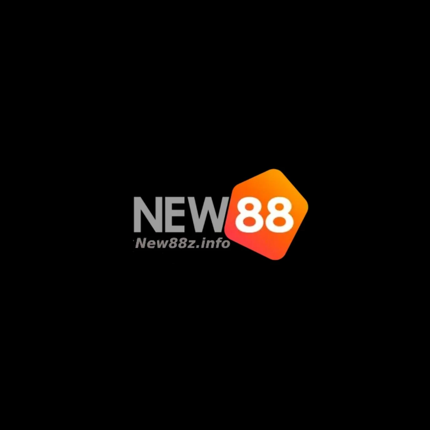 new88zinfo