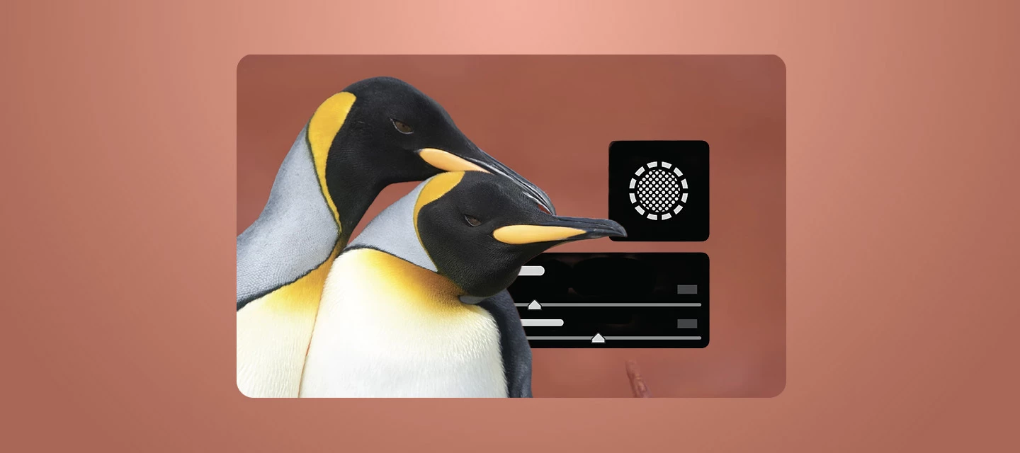 Refine Masking with New Controls: Feather and Edge Sliders