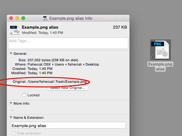 InDesign file lost? | Community