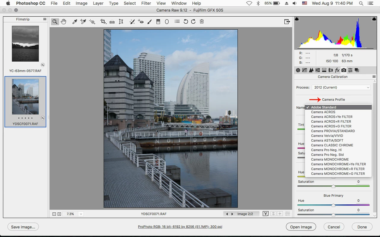 Fuji GFX Files Still Open in Grayscale in ACR 9.12 | Community