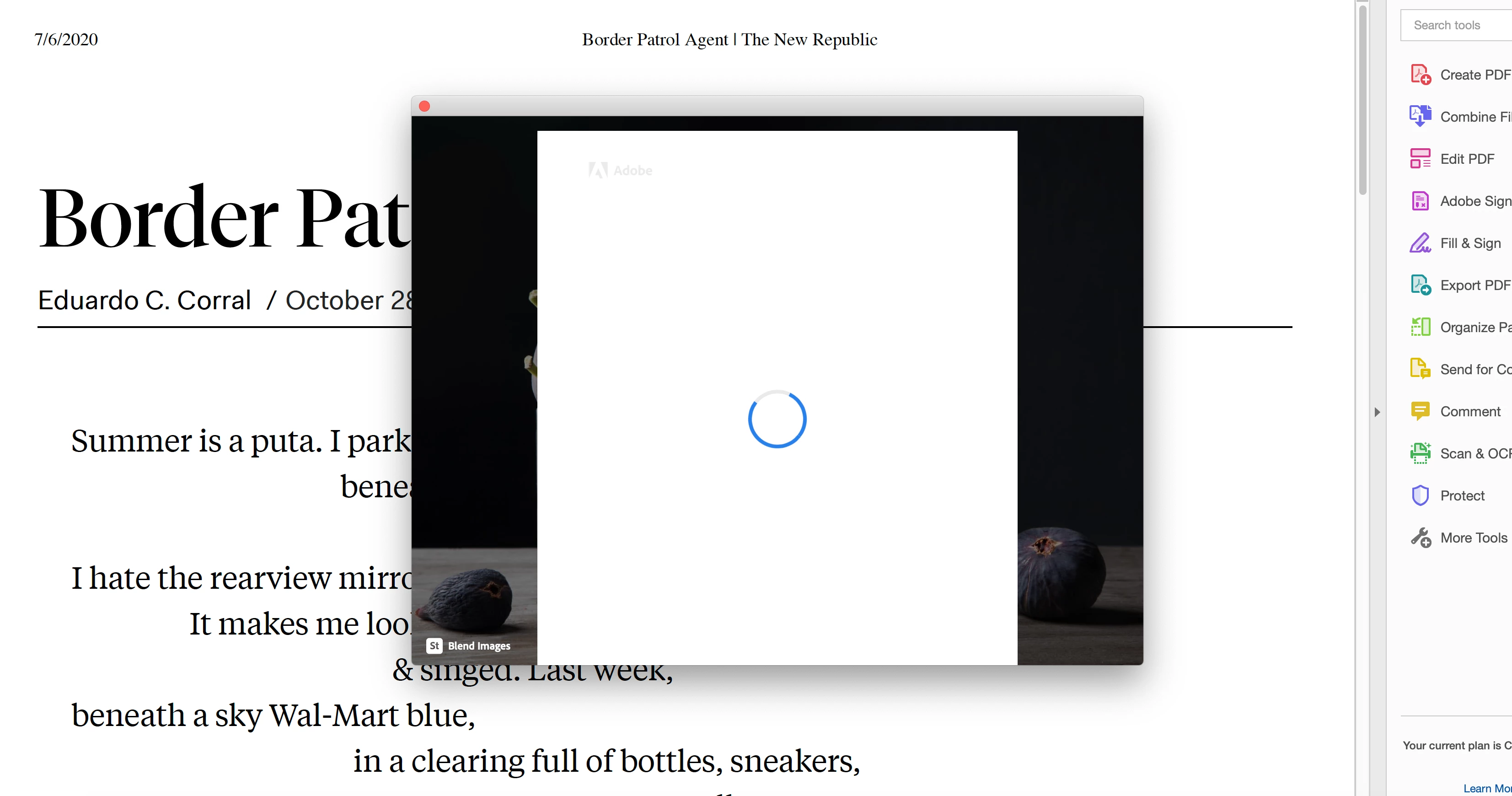 Pop Up Screen Constantly Appearing/Vanshing When Acrobat is Open ...