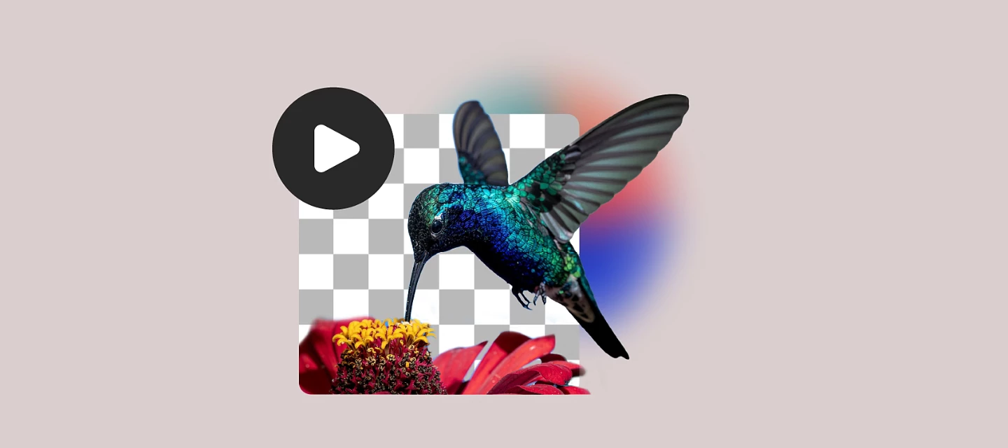 What's New in Adobe Express | September 2026: Transparent Video ...