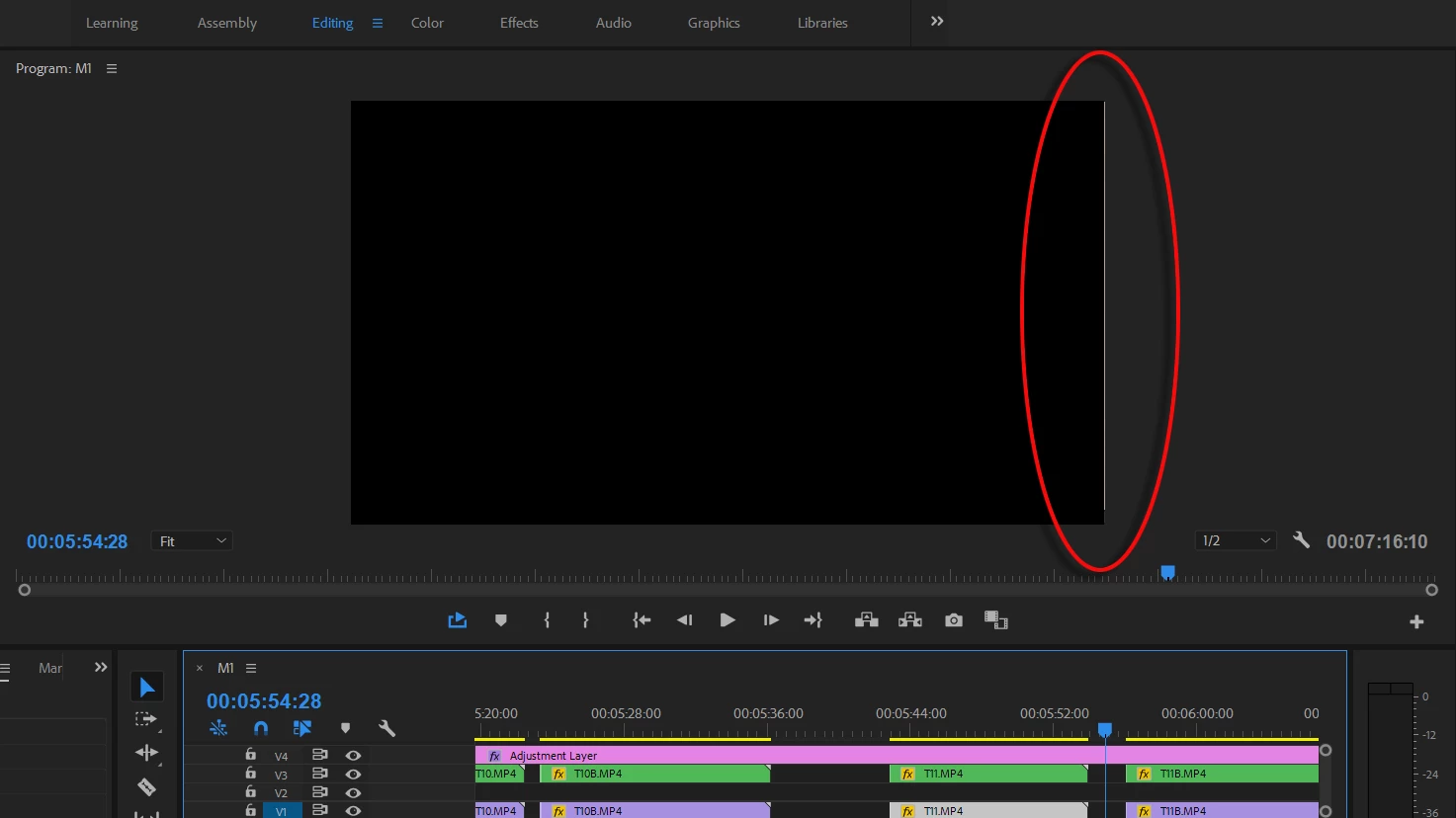 Weird vertical line in Premiere Pro | Community
