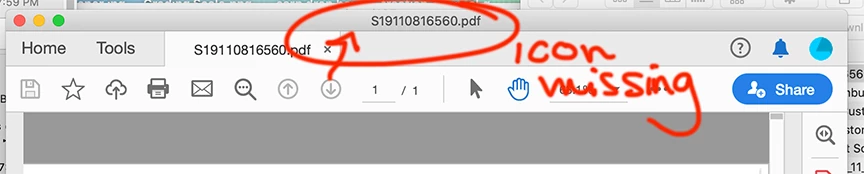 App pdf icon missing next to the file name on the document top bar ...