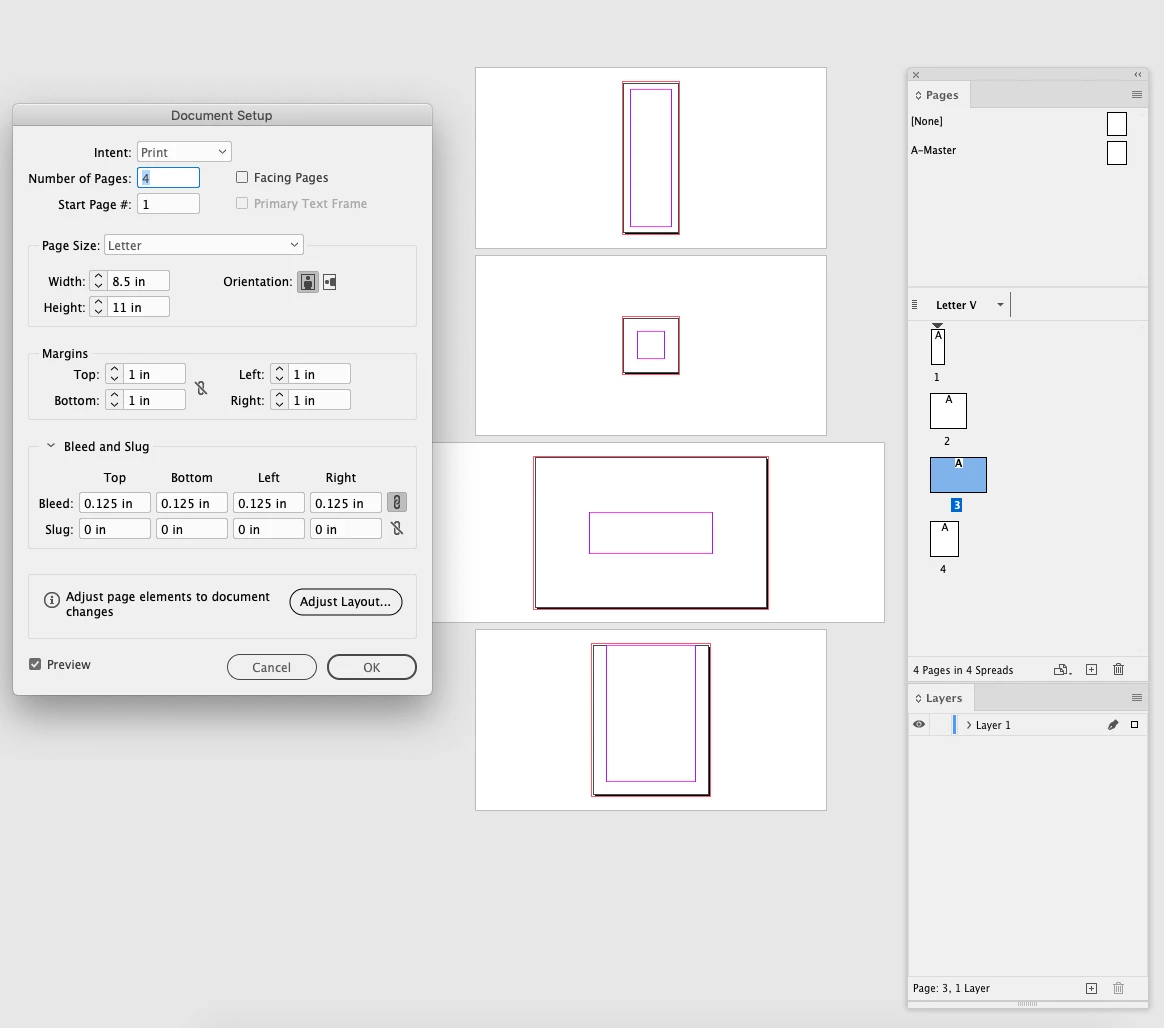 Can someone explain what Document Setup does? And Adjust Layout ...