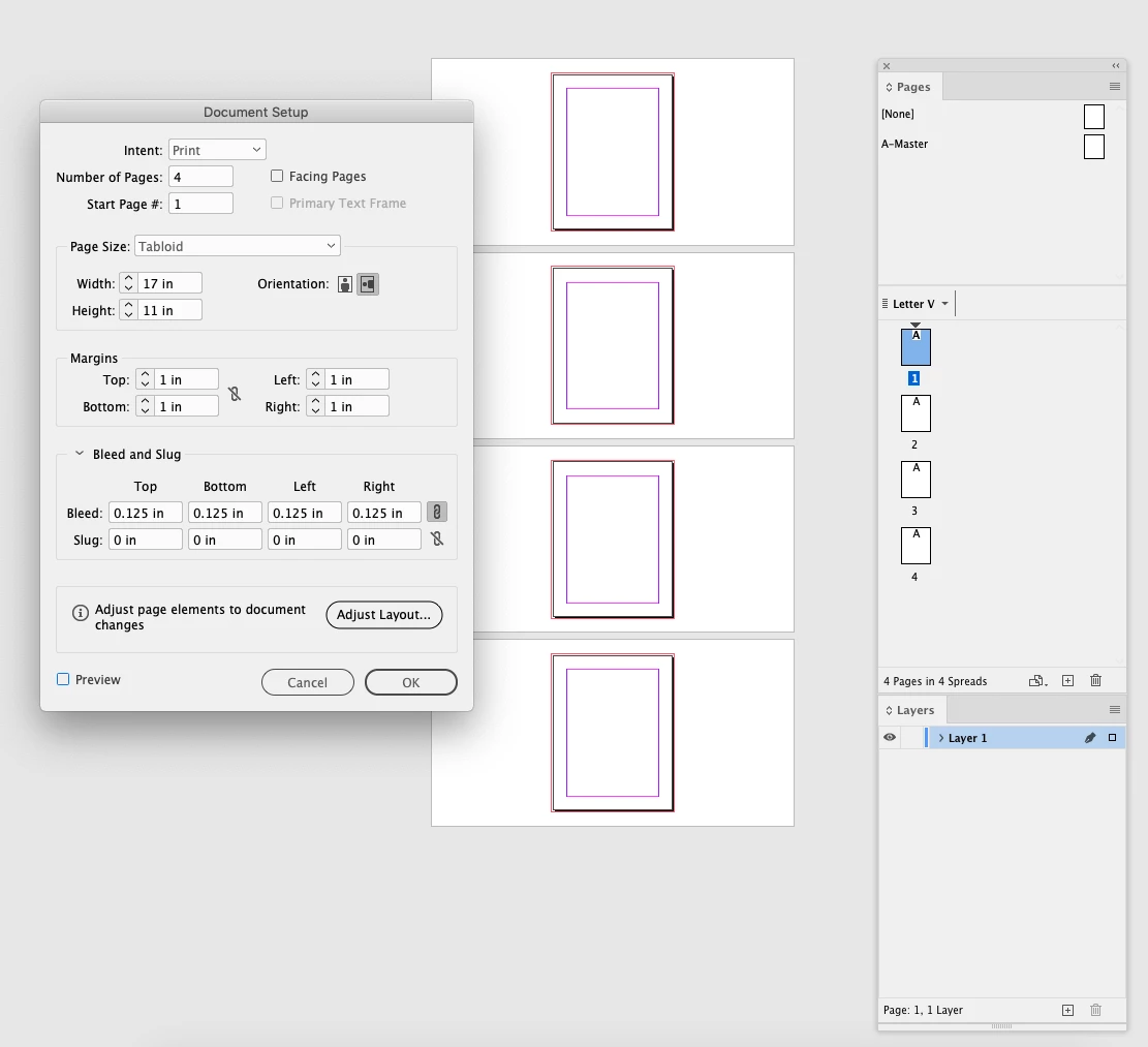 Can someone explain what Document Setup does? And Adjust Layout ...