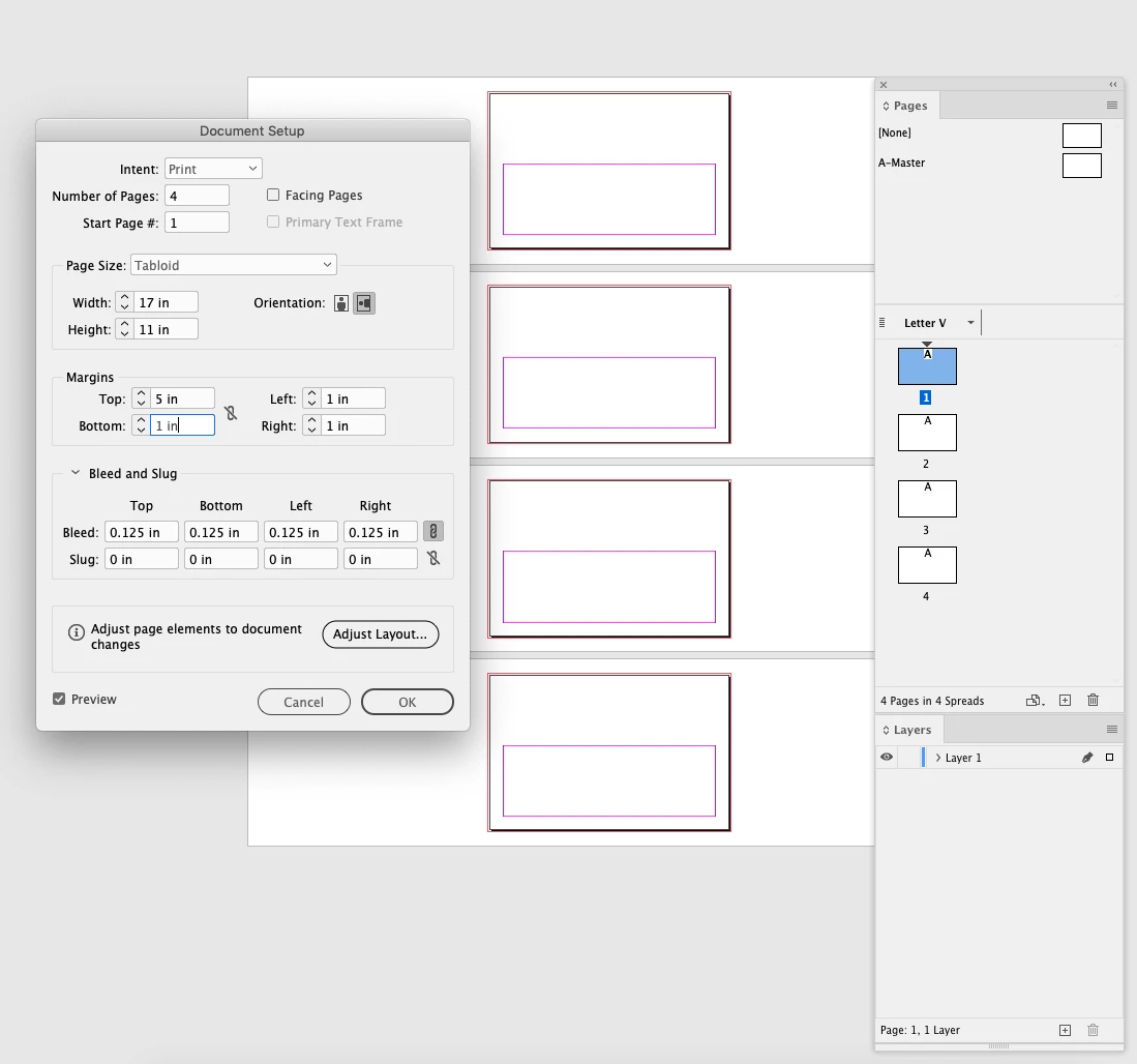 Can someone explain what Document Setup does? And Adjust Layout ...