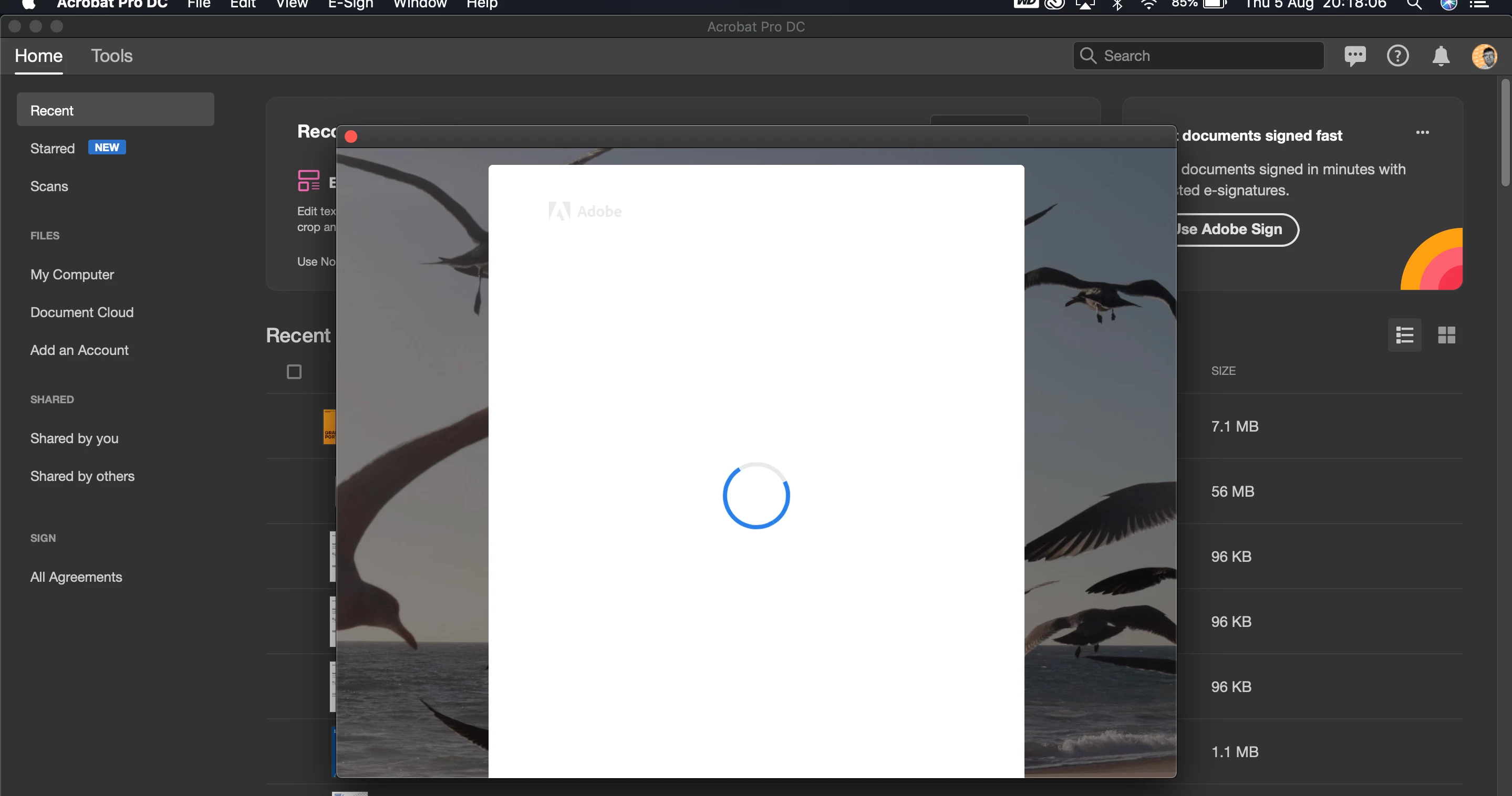 Adobe Acrobat keeps opening a sign in window repeatedly | Community