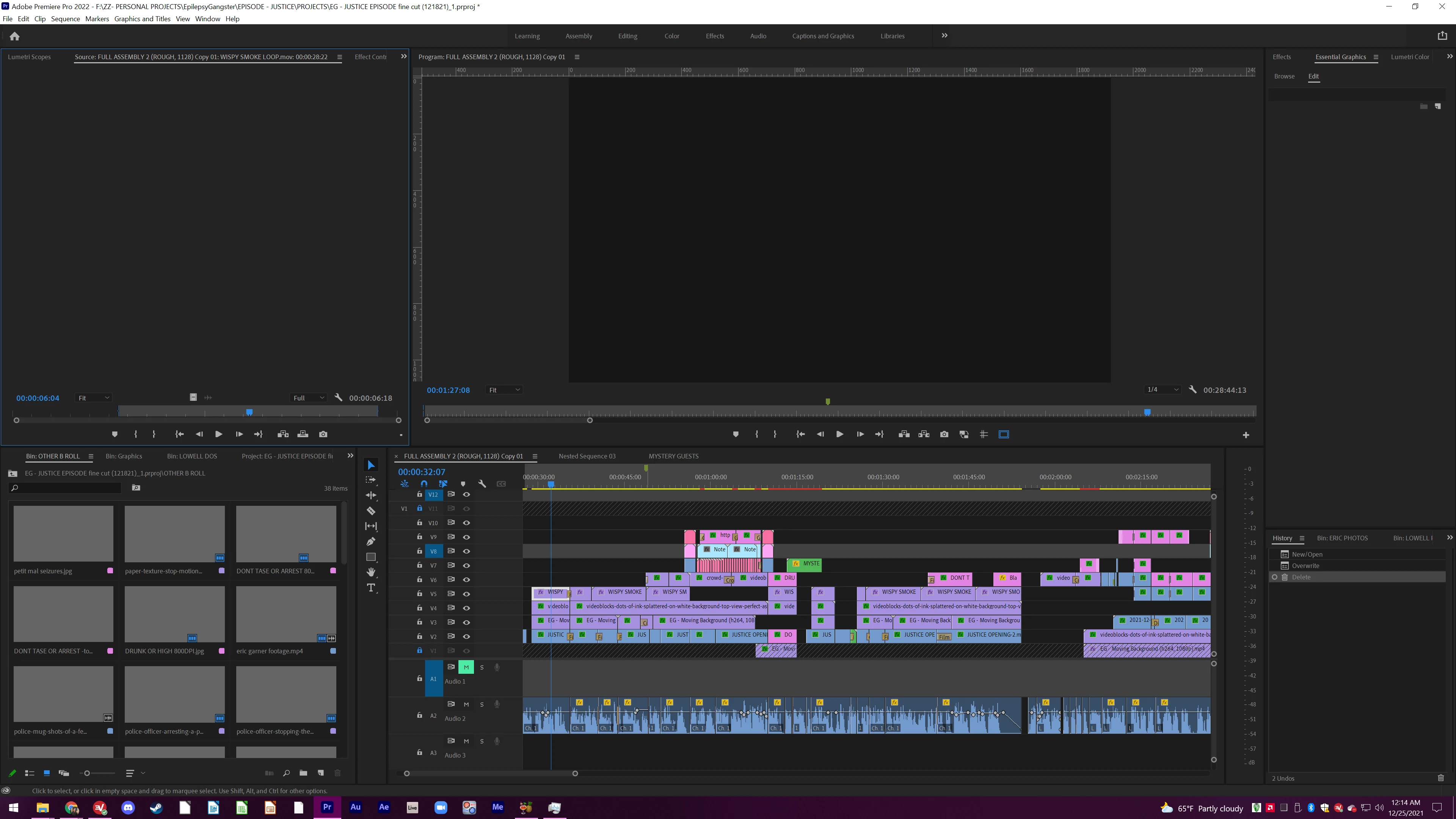 All Videos Grey, Cannot Play, Cannot Render/Export | Community