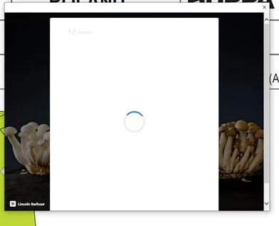 Issue with Acrobat DC when opening pdf it pops up a blank window ...