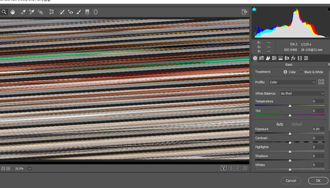 Camera Raw distorted image issue - Photoshop | Community