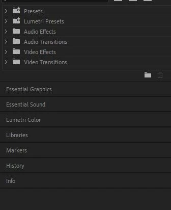 Premiere Pro 2020 missing text presets | Community