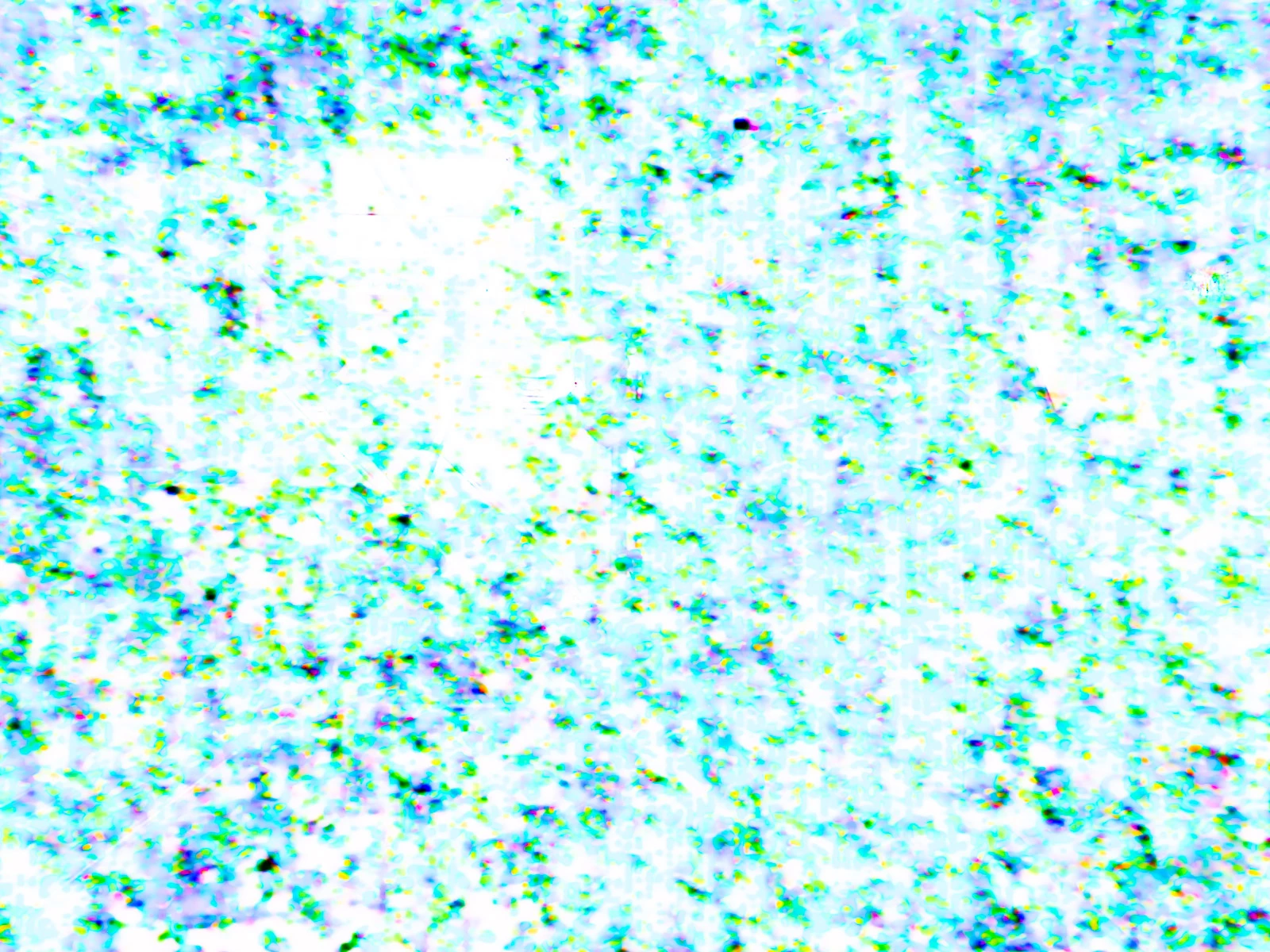 866800i051F9417901E9E49.jpg
