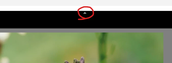 867000iDB6B1DE1116E54F3.png