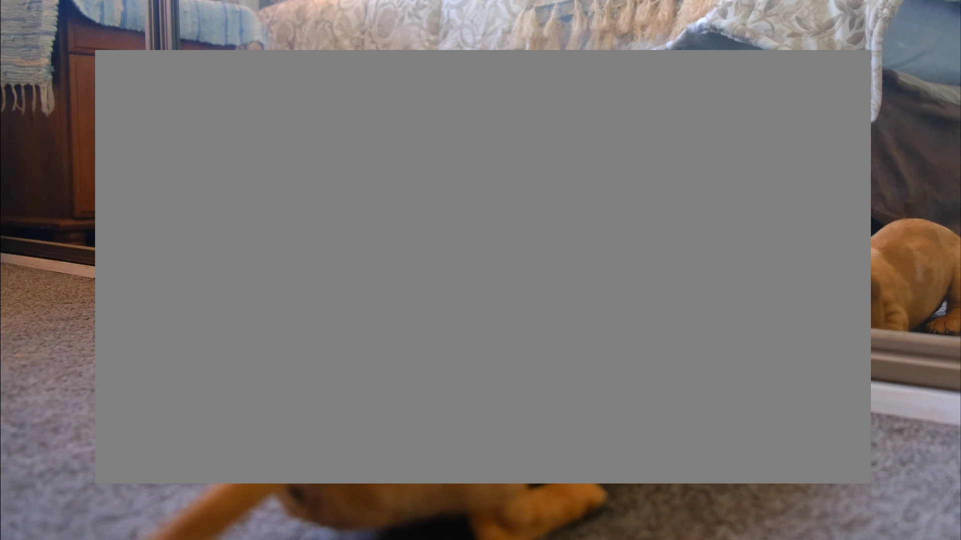 867017iE54018A230293D4F.png
