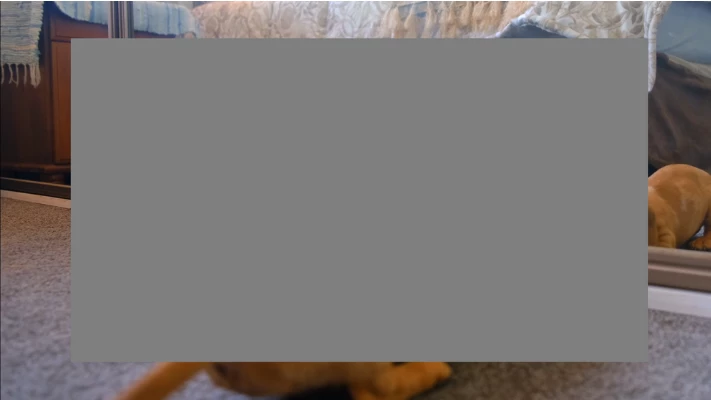 867028i40B3D43088F7CC85.png