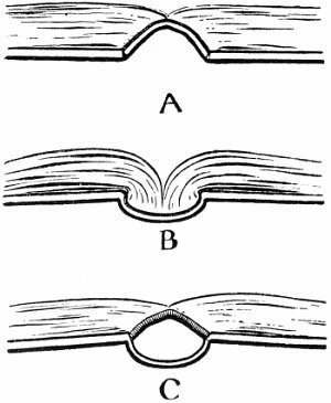 867906i669D1F1C838DCEDE.jpg