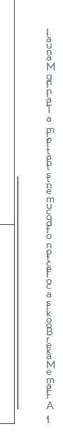 869865i6E12F60EDA96F08C.png