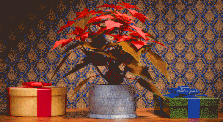 871070i04FBA923CA470250.gif