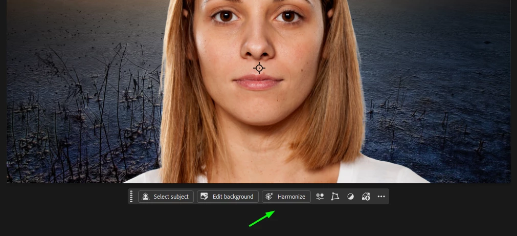 871297i93949D964EB22813.png