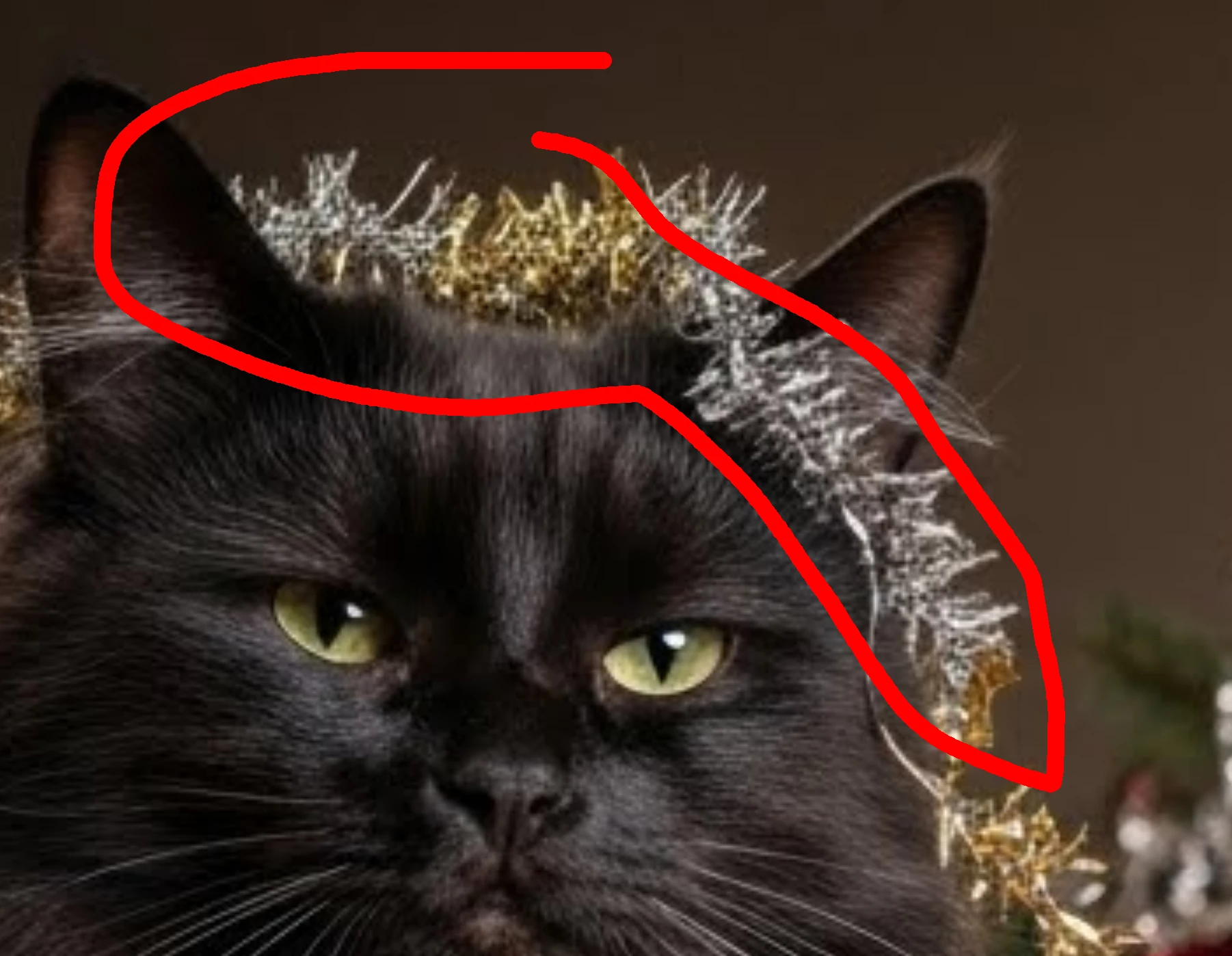 871343i19C3B803BA32CE66.png