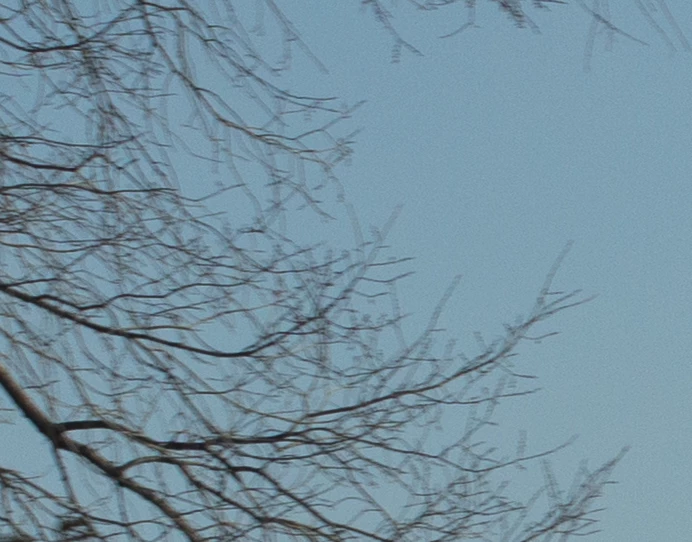 871553i72556BD0AE6371D0.png