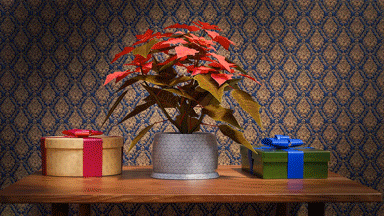 872049i3D94C3ED68AE700C.gif