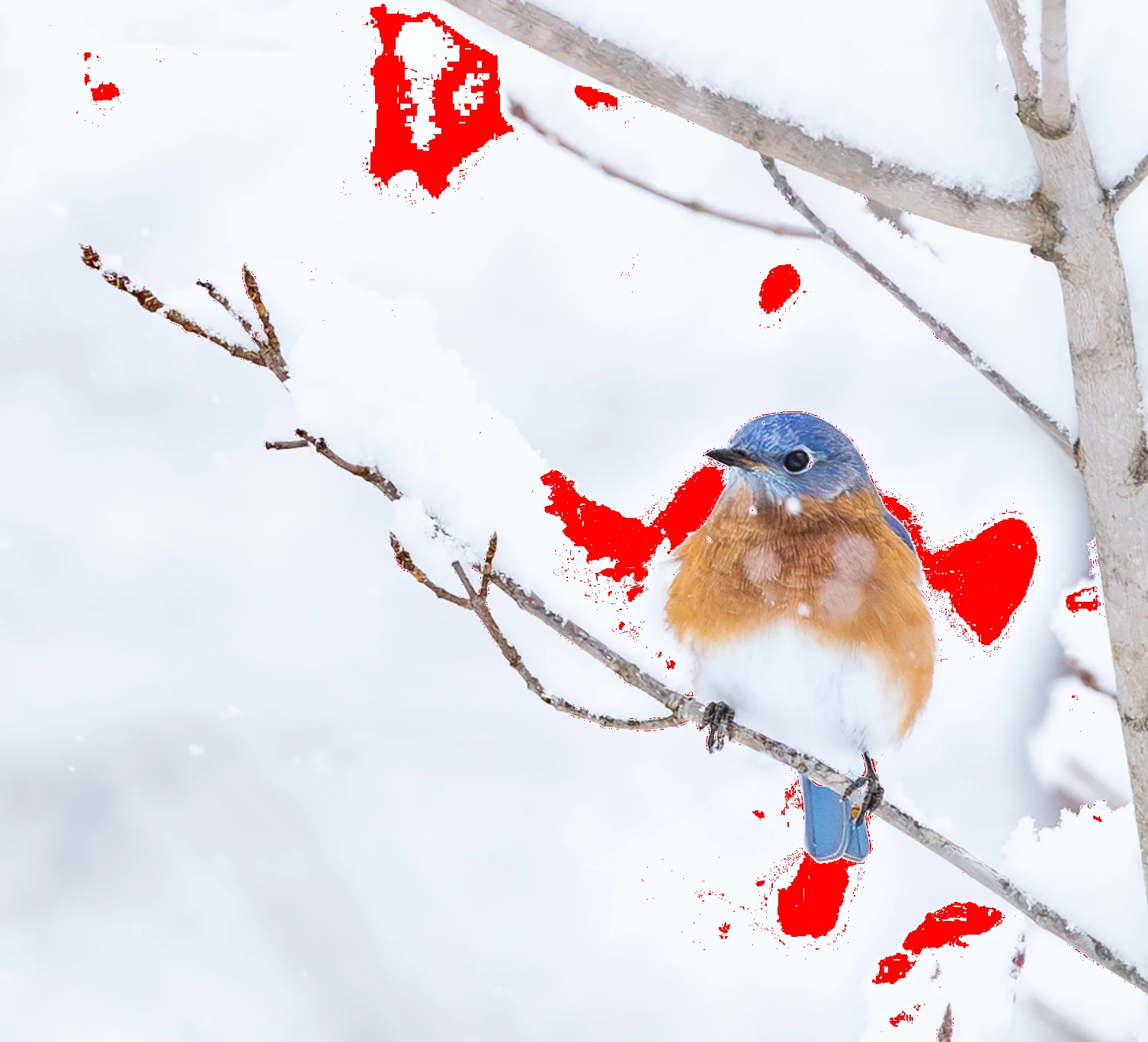 872059i2690ADACAF21FB8E.png