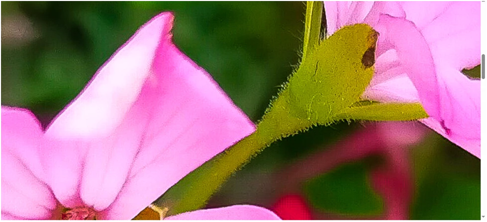 873405iE7C9934406F46A91.png