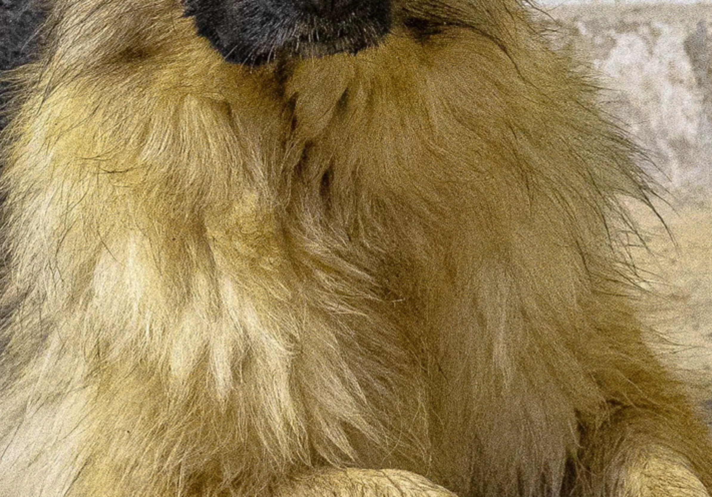 873936iC367C29400748758.png