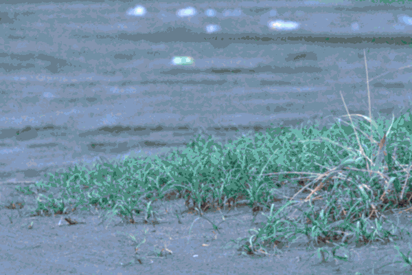 875123i529B4AB3BC5E2E38.gif