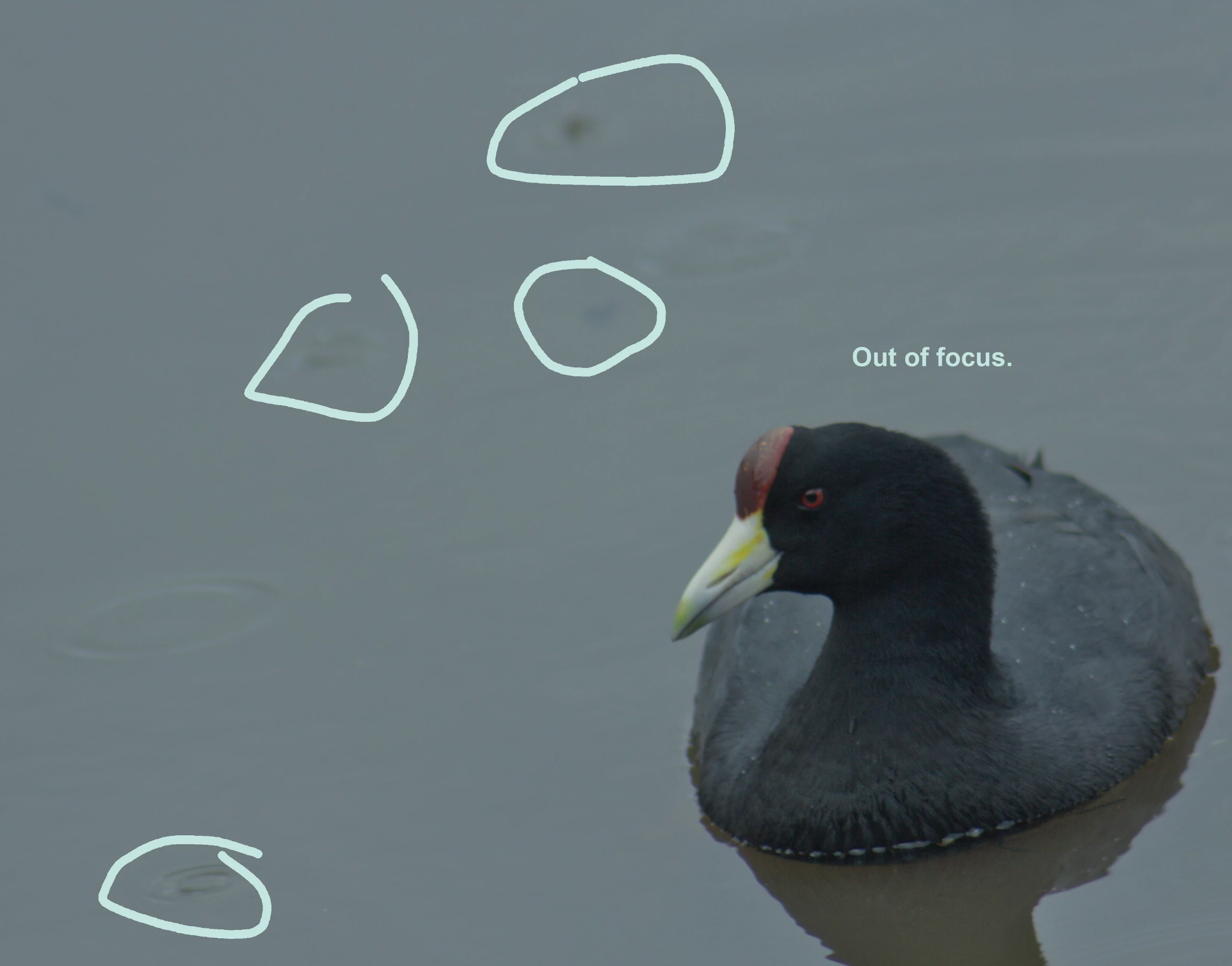 876910iC4C12626F0FA3EBF.png