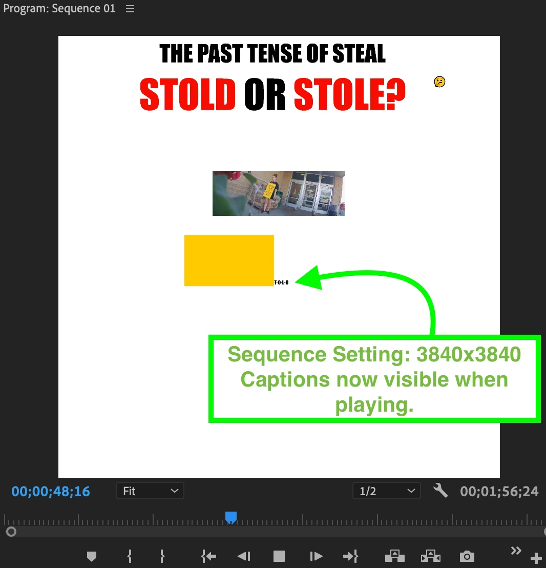 Captions not visible in preview when playing video | Community