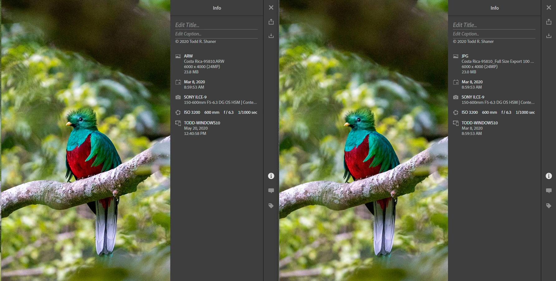 Images not sharp when making collections public | Community