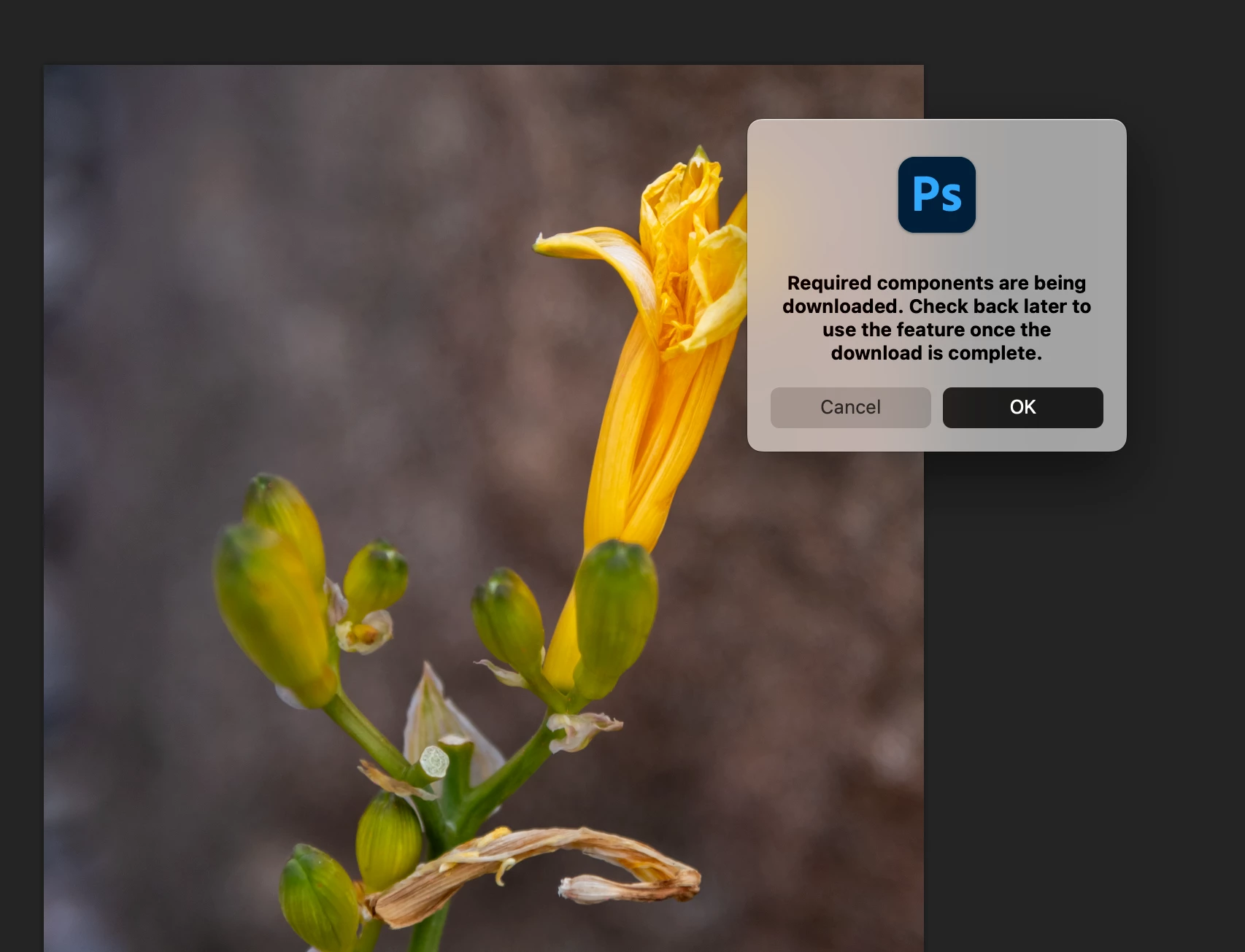 My REMOVE TOOL stopped working. It only gives me a green blob? HELP ...