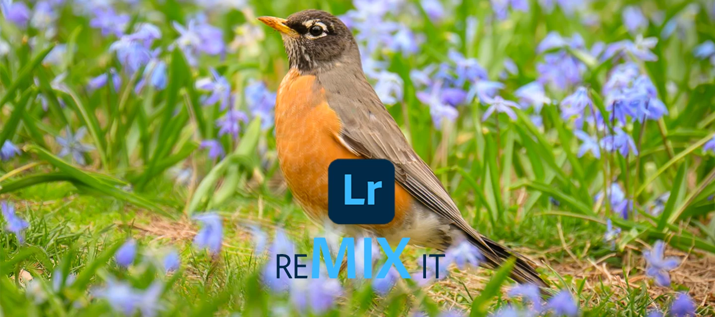 May '26 Remix It! Challenge