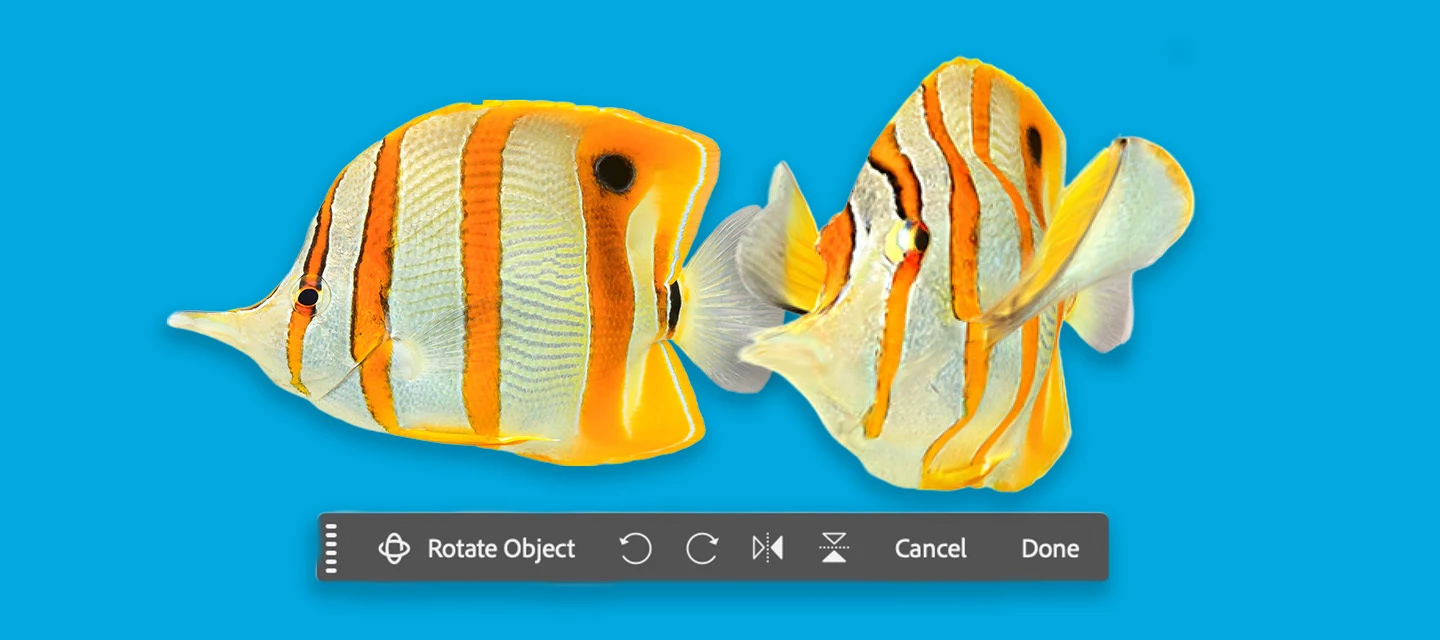 Generative Rotate Feature with Fish