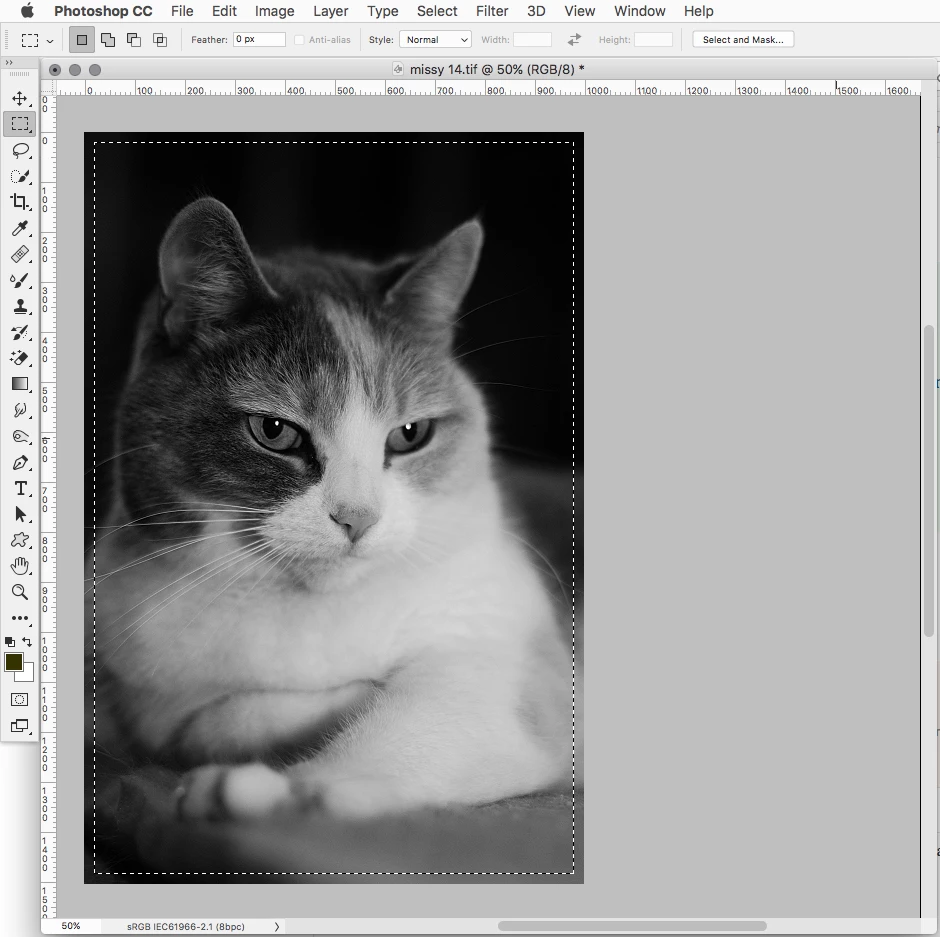 how to shrink selection by certain amount of pixels from the border ...