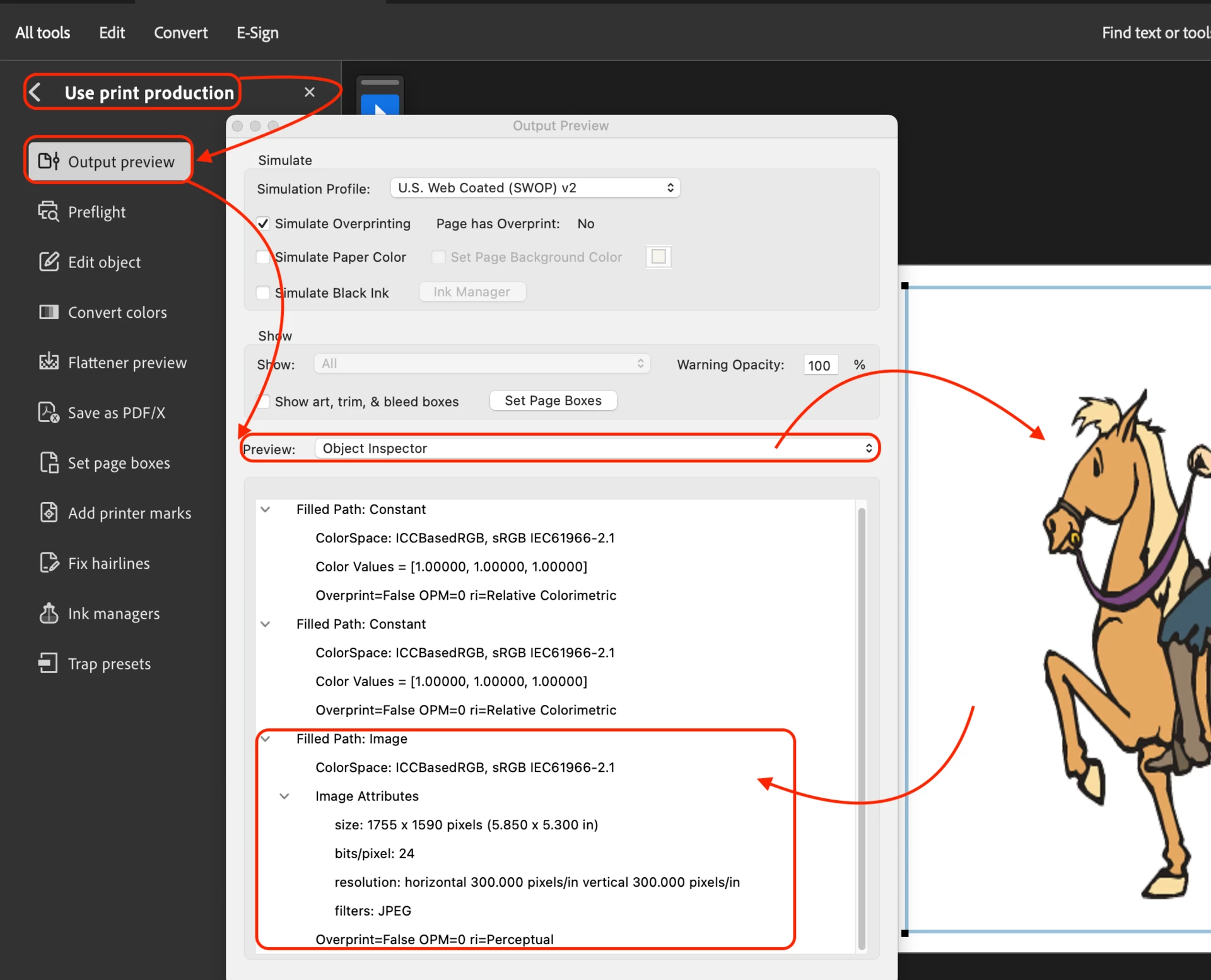 How to group text boxes within Acrobat Pro DC | Community