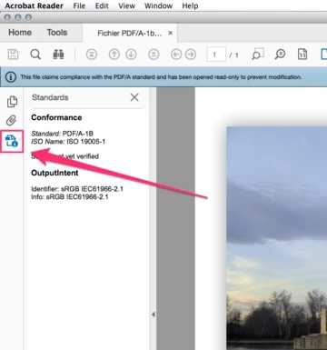 Is Pdf Real how can i know if pdf is a pdf/a? | Community